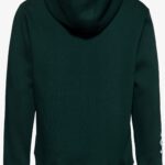 King Kerosin HOODIE »REDONDO BEACH« – Bild 3