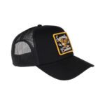 70’s Cap Eagle