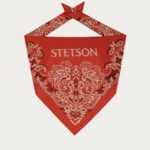 Stetson Paisley Bandana
